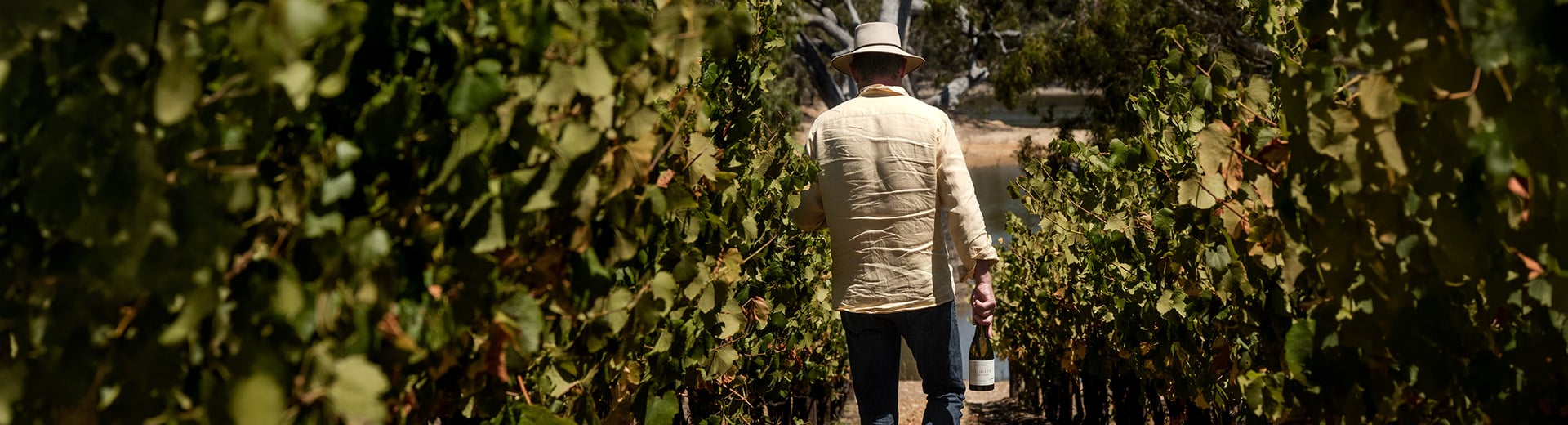 the heggies range of wines, with the heggies dam in the background