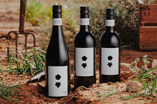 the wines